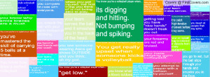 Volleyball Quotes cover