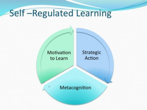 Self Regulated Learning Principles