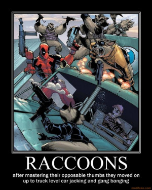 RACCOONS - demotivational poster