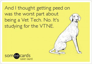 ... the worst part about being a vet tech no it s studying for the vtne