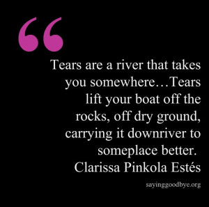 Quotes About Pain And Loss Tears River Grief Pain Loss Quote