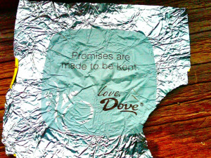 PROMISES ARE MADE TO BE KEPT -Love, Dove