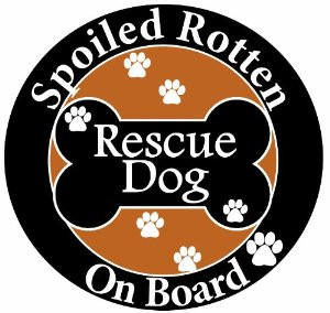 kitchen kitchen dining kitchen utensils gadgets kitchen accessories ...