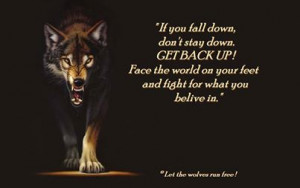 wolf poems - wolves Photo