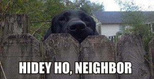 hello neighbor dog