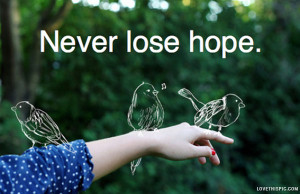 Never Lose Hope Facebook Cover Never lose hope
