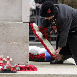 PETE & NIKKI'S white poppy campaign in the local newspaper