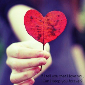 heart, leaf, love, photography, quote