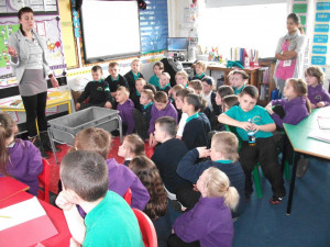 Funny Quotes Contact Dmca...