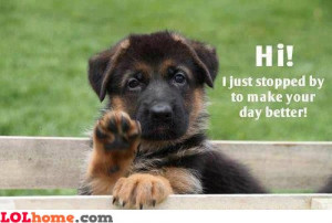 Have a good day greaaaat! – Funny Images