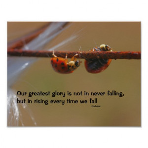 Ladybugs Attitude Quote Inspirational Poster