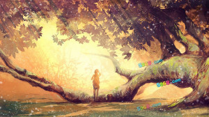 唯美图片大全-树缝里的阳光