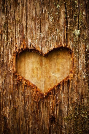 iPhone Wallpaper-Valentine's Day / Nature tjn