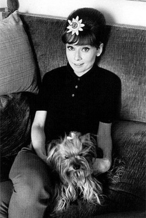 Audrey Hepburn and Mr. Famous in 1960’s.