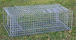 Pigeon Traps Homemade http://pigeoncontrolresourcecentre.org/html ...