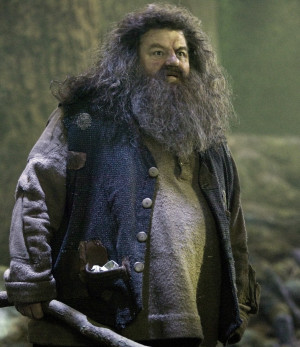Rubeus Hagrid - Harry Potter Wiki