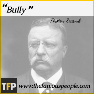Theodore Roosevelt Famous Quotes Mobile Ipad