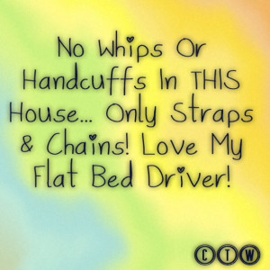 funny quotes about truck drivers