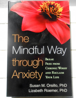 The Mindful Way through Anxiety - Book Review
