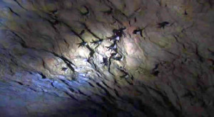 Caves 2 | quotes | pictures