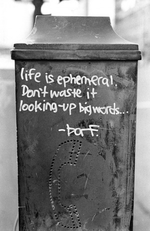 life is ephemeral. don’t waste it looking up big words, graffiti, # ...