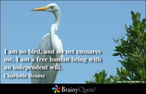 Am No Bird, And No Net Ensnares Me, I Am A Free Human Being With An ...