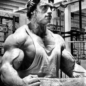 beast mode # fitness # gym # quote www healthvg com the muscle ...