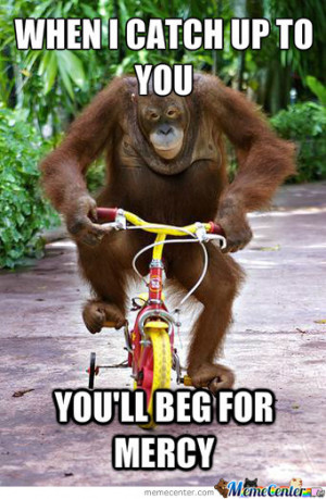 Funny Orangutan Quotes Funny orangutan quotes funny