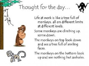 Monkey Quote...climbing the ladder