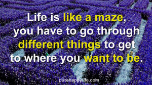 Life is like a maze, you have to go through different things to get to ...