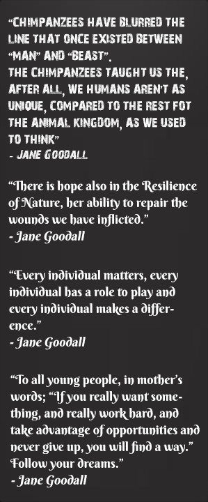 Quotes by Jane Goodall:
