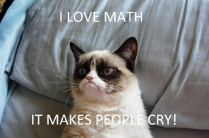 Animal quotes funny quotes ugly cat who love math