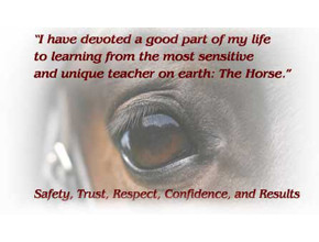 Horsey Quotes Photo