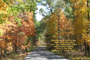 Fall Scripture Reflection