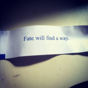 Fate Will Find A Way