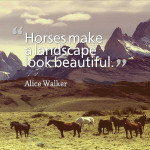 Top 20 Famous Horse Quotes and Sayings…