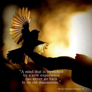 mind that is stretched by a new experience can never go back to its ...