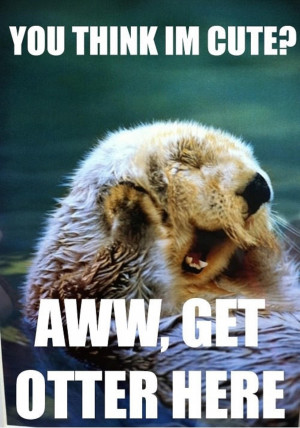 super funny animal puns!you think i m cute get otter here...