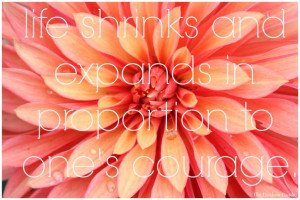 Life shrinks or expands in proportion to one’s courage.” -Anais ...