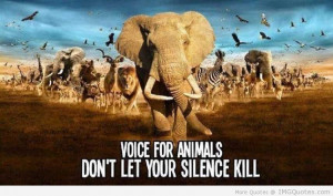 Voice For Animals Don’t Let Your Silence Kill - Animal Quote