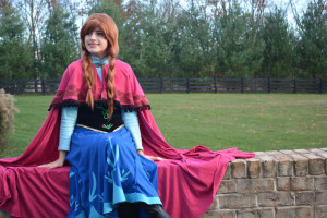 Free Shipping Cosplay Wig Movie Frozen Princess Anna Wig