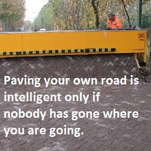 Paving your own road is intelligent only if nobody has gone where you ...