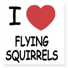FLYINGSQUIRRELS Square Sticker 3