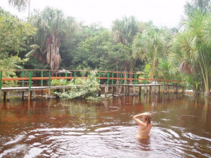 River Running Through The Farm picture