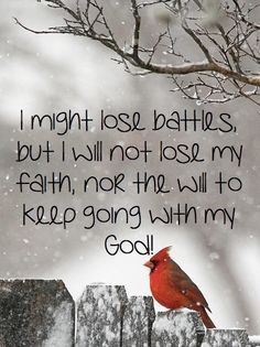 might lose battles quotes god life bird faith christian *AMEN! With ...