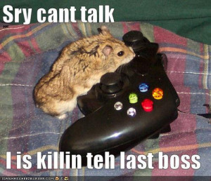Funny hamsters with captions