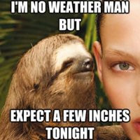 weather-man-inches-dirty-sloth-pic.jpg