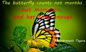 The butterfly counts not months but moments, and has time enough ...