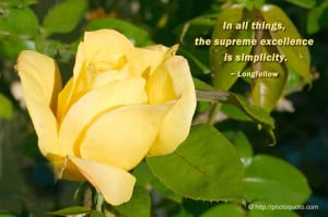 In all things, the supreme excellence is simplicity.