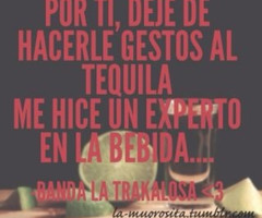 Tagged with banda la trakalosa